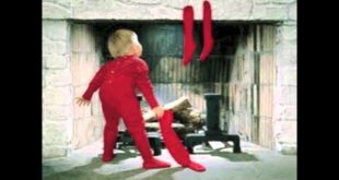 Dog’s New Clothes –  It’s Christmas Everywhere