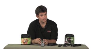 Dogwatch BigLeash V10 Vibration Remote Dog Collar
