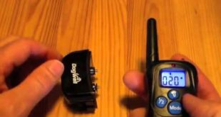 Dogwell DWRB 1 328 Yards 984 Ft Remote Dog Trainer, Rechargeable and Rainproof Dog Training Collar R