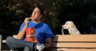 Doritos Super Bowl XLIV ad   Dog Collar 2010