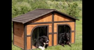 Duplex Dog House  Extra Lge