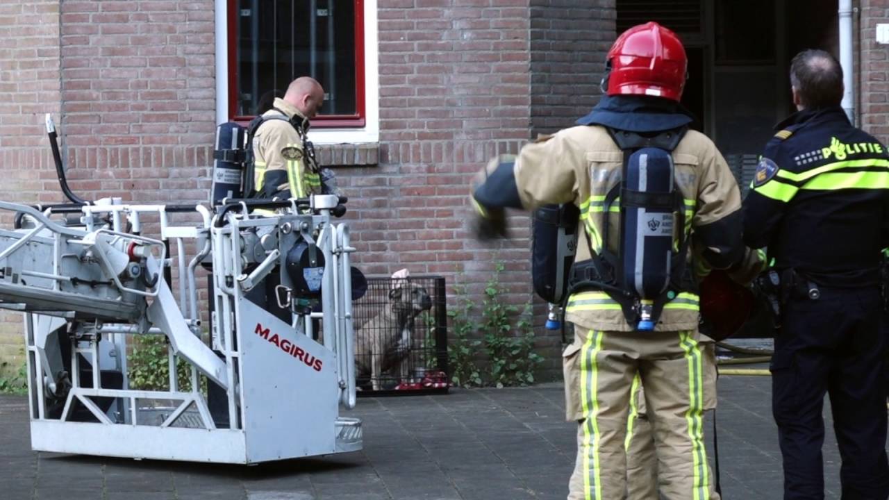 Dutch fire department rescues dog from burning house