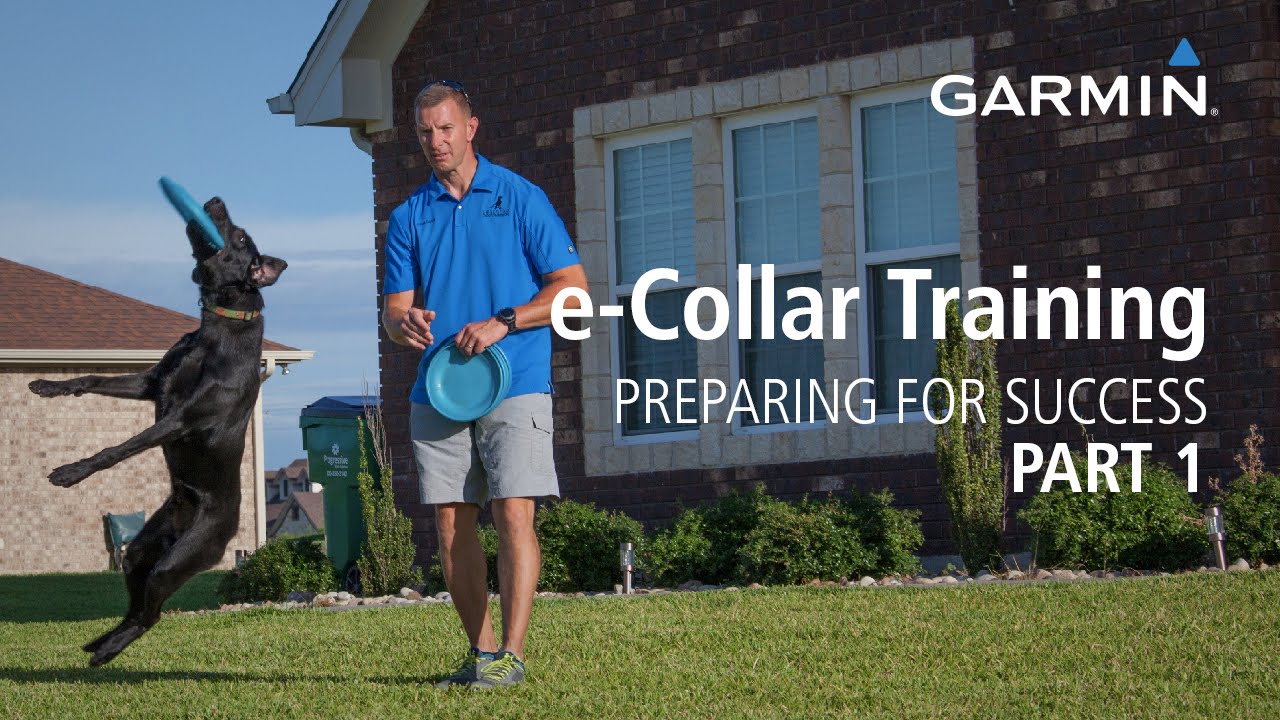 e-Collar Training: Preparing for Success with Garmin, Part 1