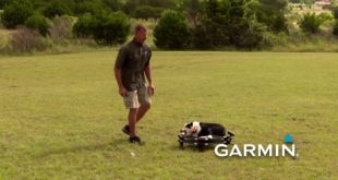e Collar Training with Garmin – Teaching “Place,” Part 1