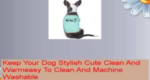 Eat Sleep Warcraft World Of Warcraft Dog Pet Clothes Large SkyBlue