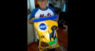 Eating dog FOOD???
