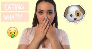 EATING DOG FOOD ON CAMERA!