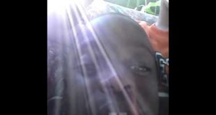 Eating dogfood