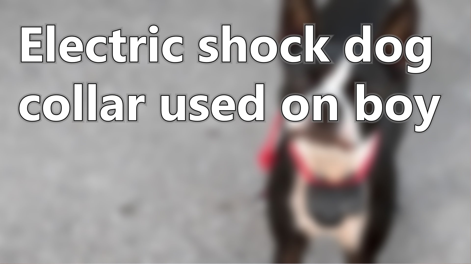 Electric shock dog collar used on boy | Short News