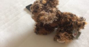 [EPISODE 1] House of Animals: The dog and kitty