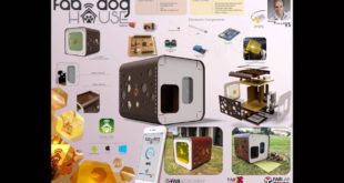 Fab Dog House