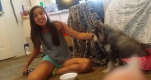 Fake dog food commercial