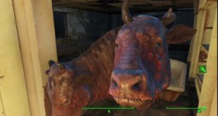 Fallout4 Sanctuary settlement half of it, includes Dog,Cat house and Vipers Spit Arena