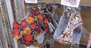 Fashionable Dog Clothes, Love Hotels and Toilets Osaka, Japan