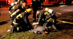 Firefighters Revive Dog At House Fire