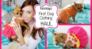 First Dog Clothing Haul ♡ Honey