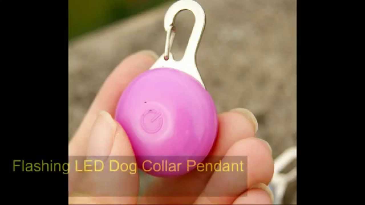 Flashing LED Dog Collar Pendant Clip Light For Keeping Your Dog Visible In Darkness