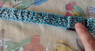 Flashing LED Dog Collar Review ( Dog Safety )