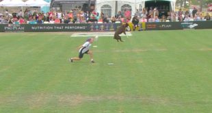 Flying Disc 2nd Place – 2016 Purina® Pro Plan® Incredible Dog Challenge® Western Regionals