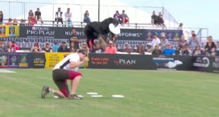 Flying Disc Winner – 2016 Purina® Pro Plan® Incredible Dog Challenge® Western Regionals