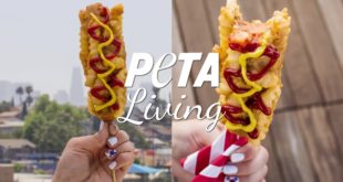 French Fry Corn Dog (Korean Street Food, ‘Veganized’)