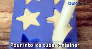 Frozen yogurt homemade dog treat recipe food