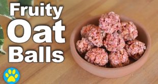Fruity Oat Ball Treats | Small Pets & Dogs
