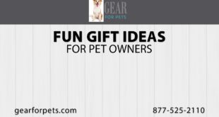 Fun Online Gift Ideas For Pet Owners | Gear For Pets
