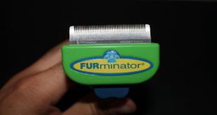 FURminator Dog Short Hair Deshedding Tool Review (Small)