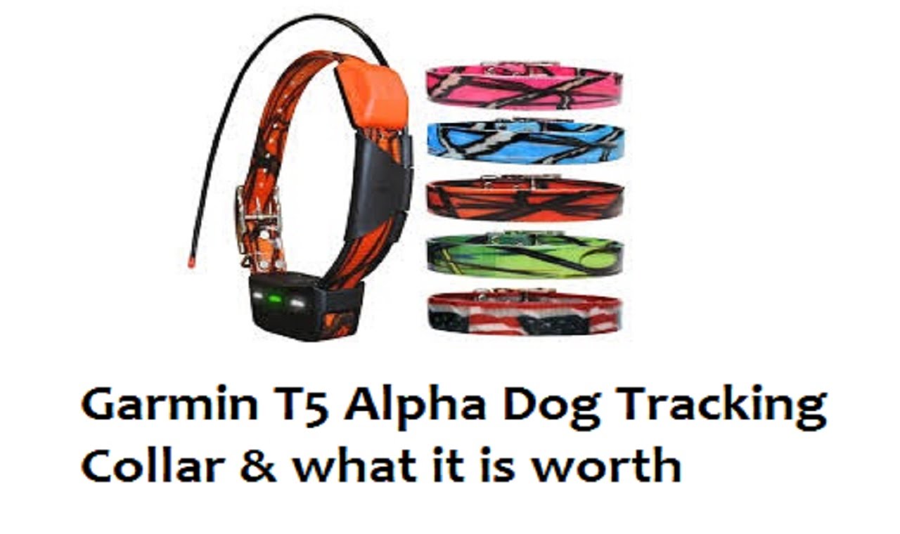 Garmin T5 Alpha Dog Tracking Collar & what it is worth