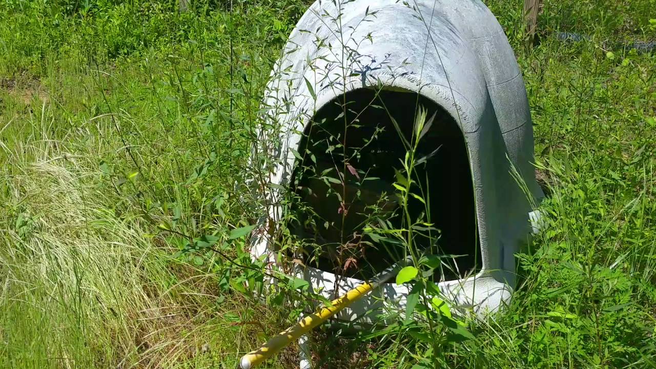 Getting the dog house prt 1