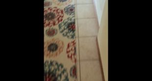 GIRL EATS DOG FOOD THINKING ITS VANILLA ICE CREAM