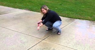 Girl Gets Zapped by Invisible Fence dog collar