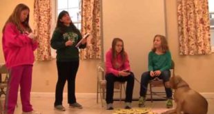 Girl Scouts Troop 1070 says  Adopt a Dog!