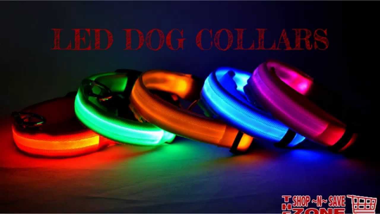 Glow In The Dark LED Dog Collar – The Shop n Save Zone