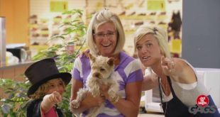 Guide Dog Betrays Blind Man for Food !