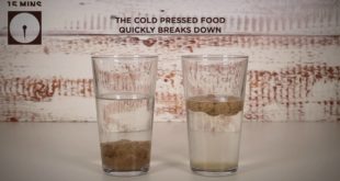 Guru Dog Food – Cold Pressed Food vs Kibble