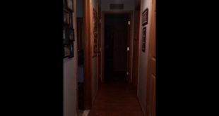 Haunted house/Me and my dog