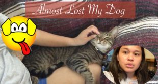 He Got My favorite Food + Almost lost My Dog || MaryAnn