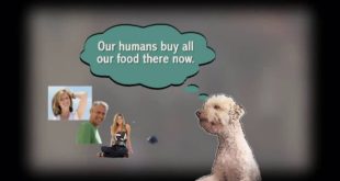 Health Extension Dog Food | Review | Rating | Recalls +441422 379 007