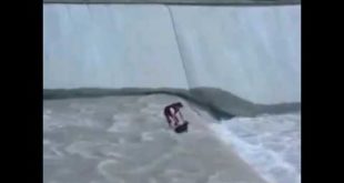 الاتحاد في مساعدة كلب  Help a dog