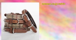 Hennessy Harris Tweed and Large Leather Dog Collar