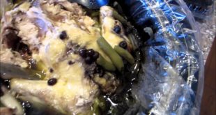 Home Cooked Dog Food #6 ~ Great Health Benefits