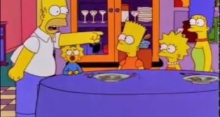 Homer Simpson – damn nearly had him eating dog food