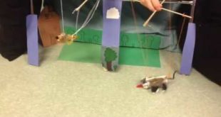 House dog and the wolf