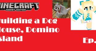 How i build my Dog House Domino Island Ep