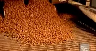 How It’s Made Dog and Cat Food