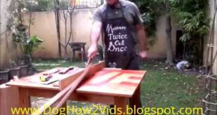 How to Build a Cottage Dog House |Dog How2 Vids|
