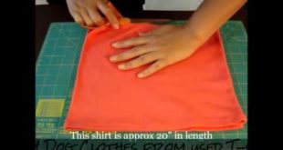 How to Create Dog Clothes from Used T-shirt – DIY Dog Clothes