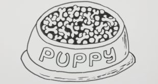 How to Draw a Dog Food Bowl, Dog Feeding Dish – Cartoon Comic Doodle [15]